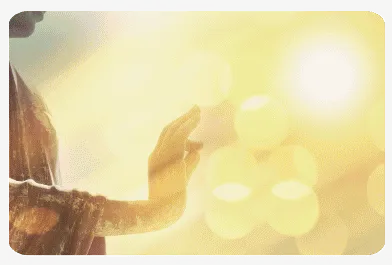 Deborah J Tyson - Kinesiology Sydney Practitioner