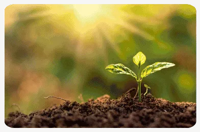 Deborah J Tyson providing kinesiology in Neutral Bay